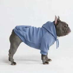 Essential Dog Hoodie - Slate Blue