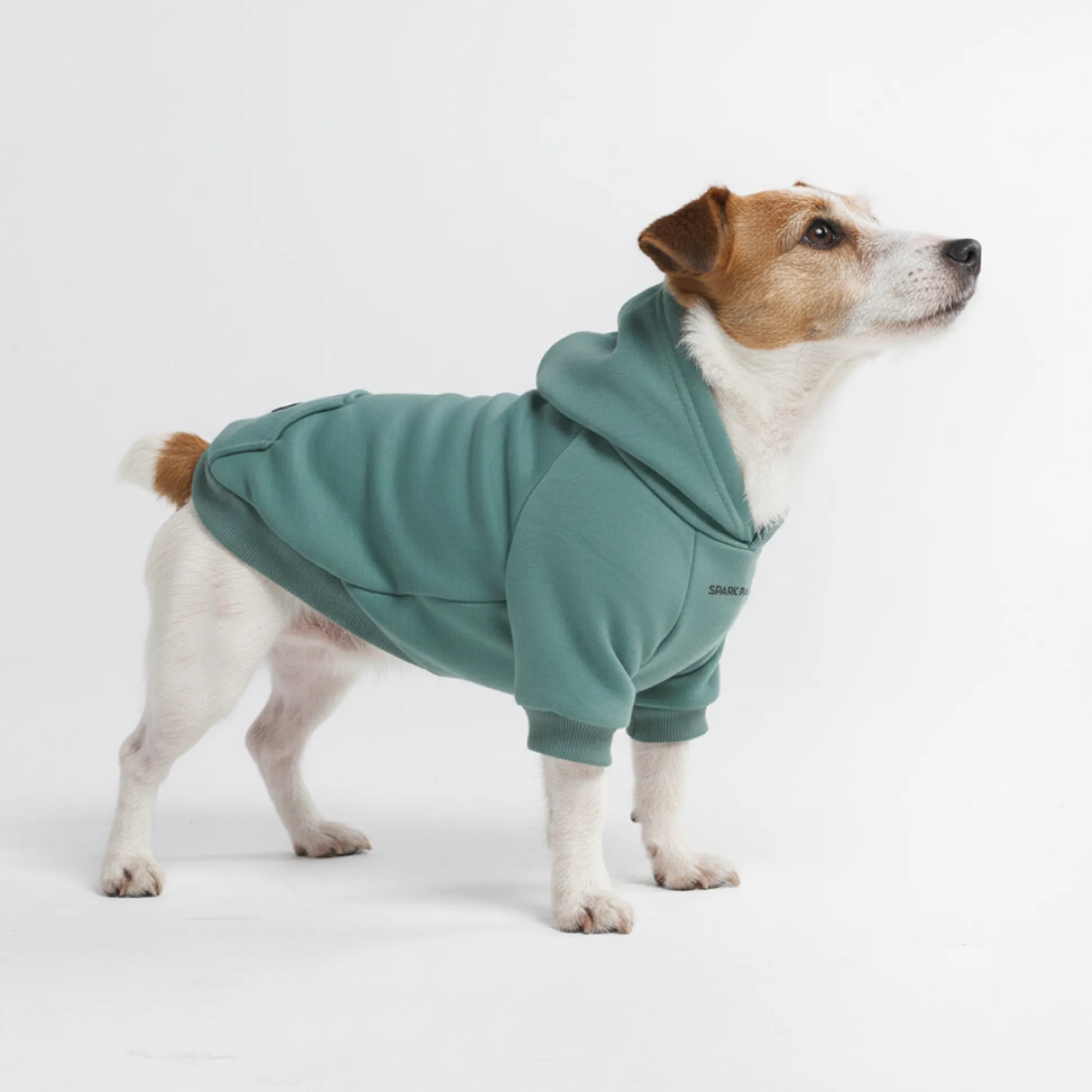 Essential Dog Hoodie - Teal