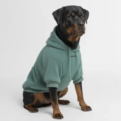 Essential Dog Hoodie - Teal