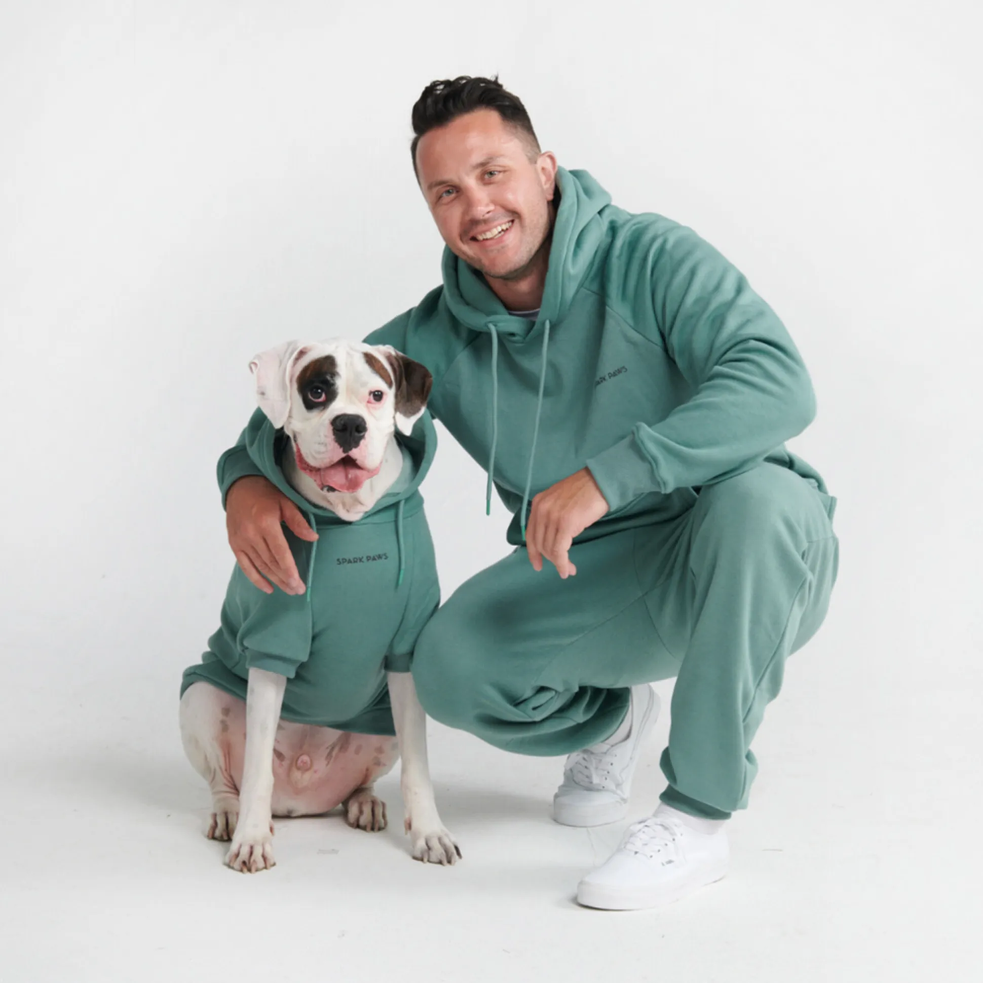 Essential Dog Hoodie - Teal