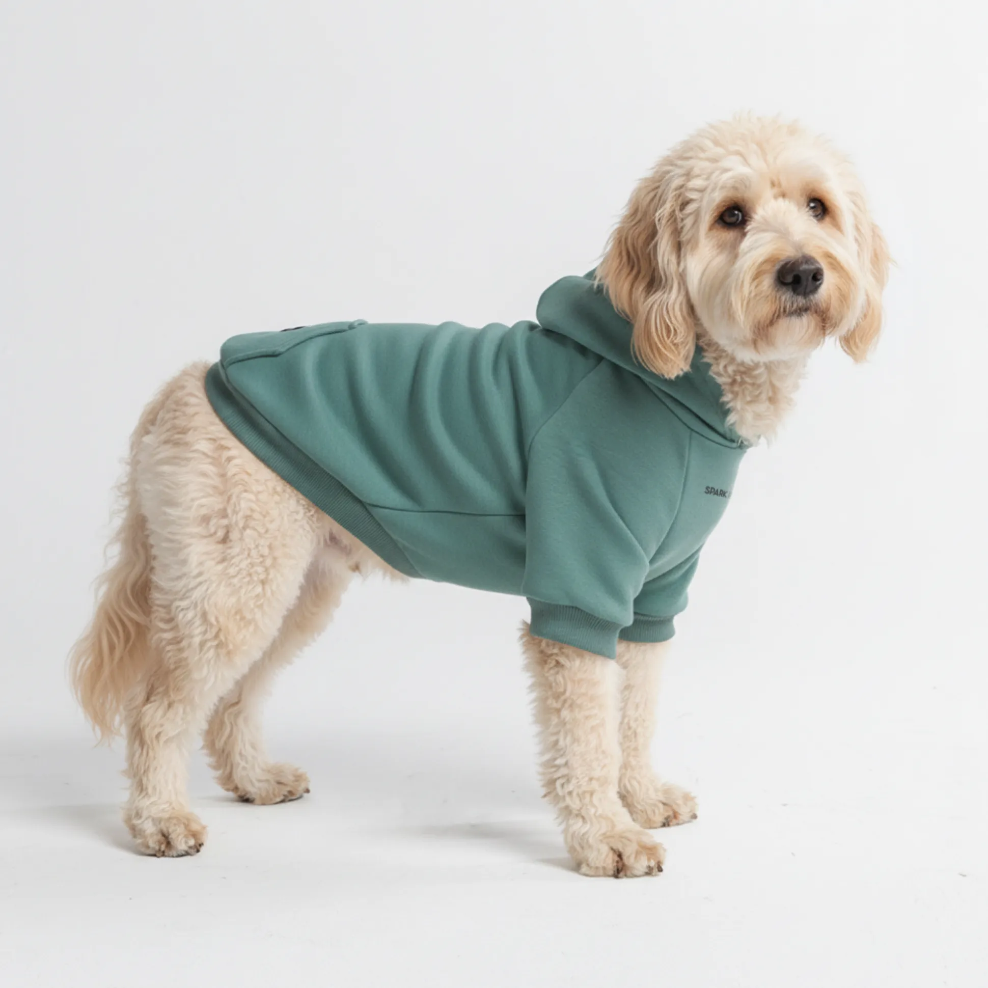 Essential Dog Hoodie - Teal