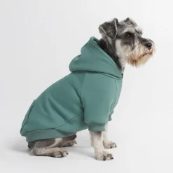 Essential Dog Hoodie - Teal