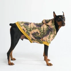 Everglade Skydye Dog Hoodie