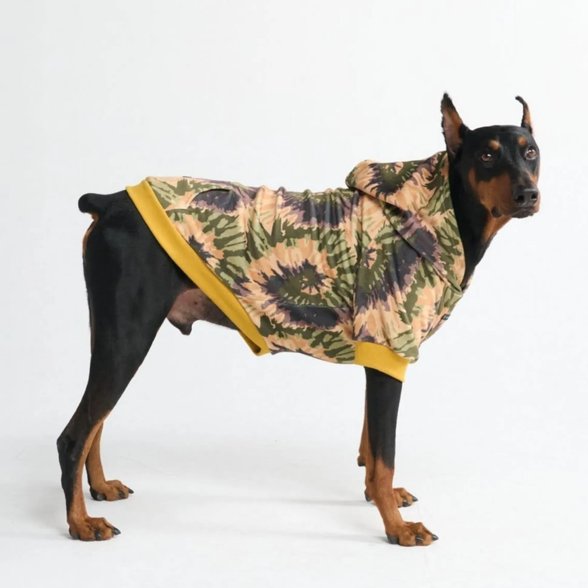 Everglade Skydye Dog Hoodie