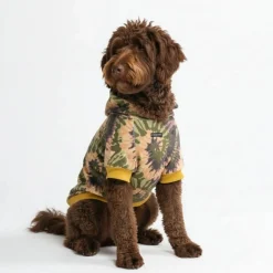 Everglade Skydye Dog Hoodie