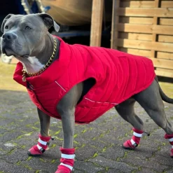 Flex Shell Waterproof Dog Boots - Red