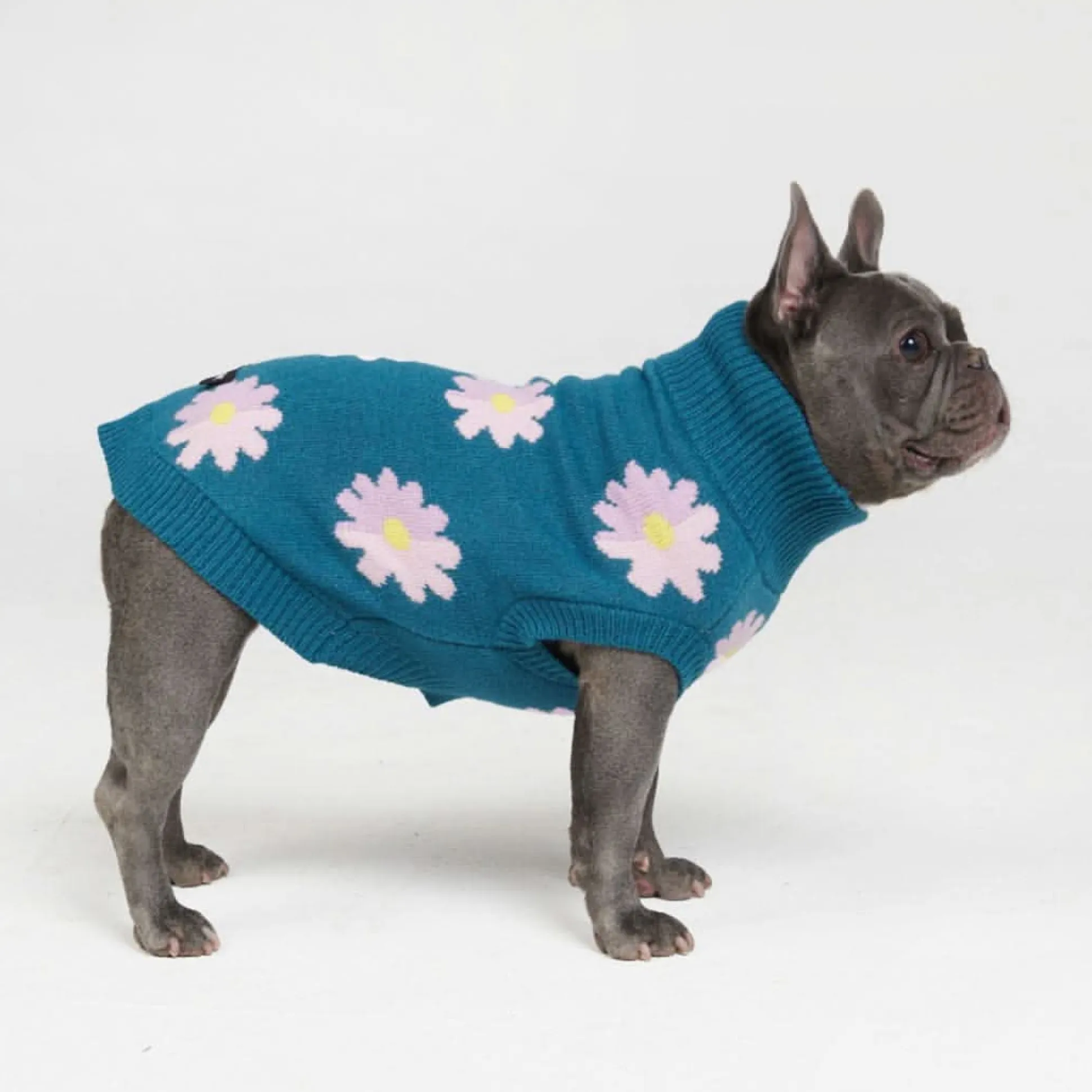Flower Knit Dog Sweater