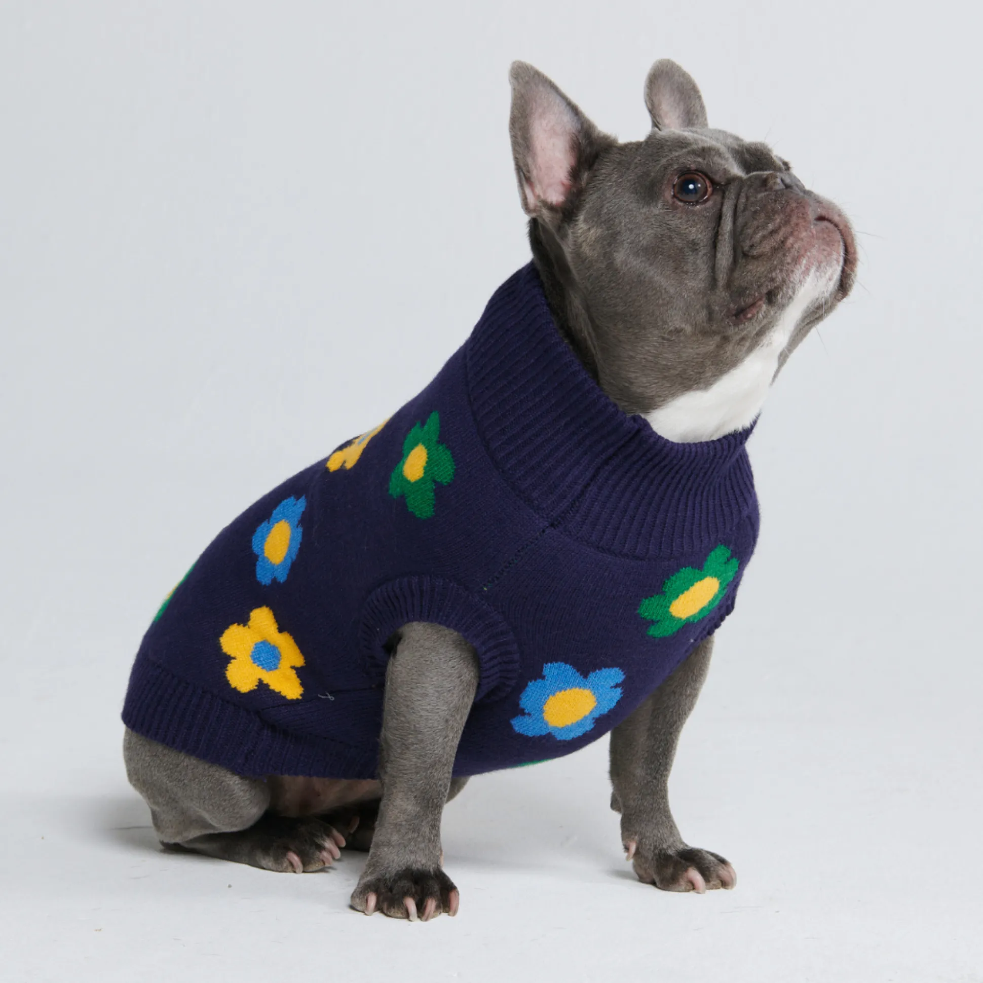 Flower Knit Dog Sweater - Blue Green Yellow