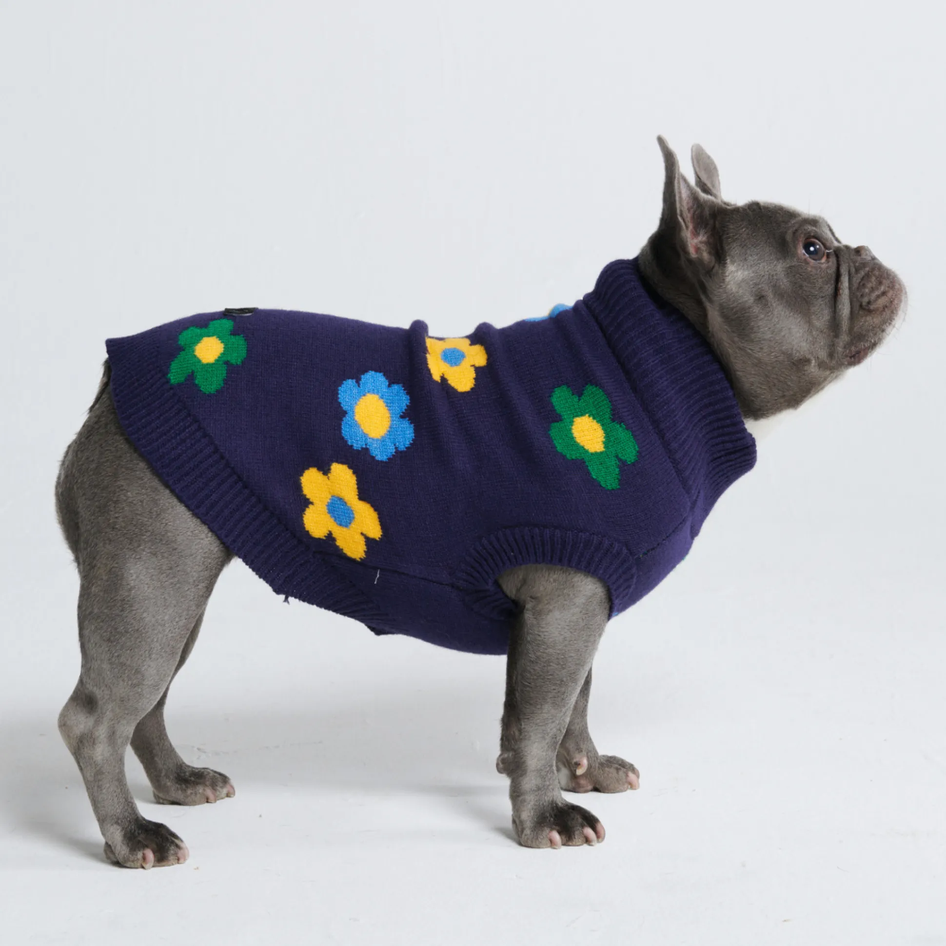 Flower Knit Dog Sweater - Blue Green Yellow
