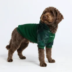 Forest Camo Dog Hoodie
