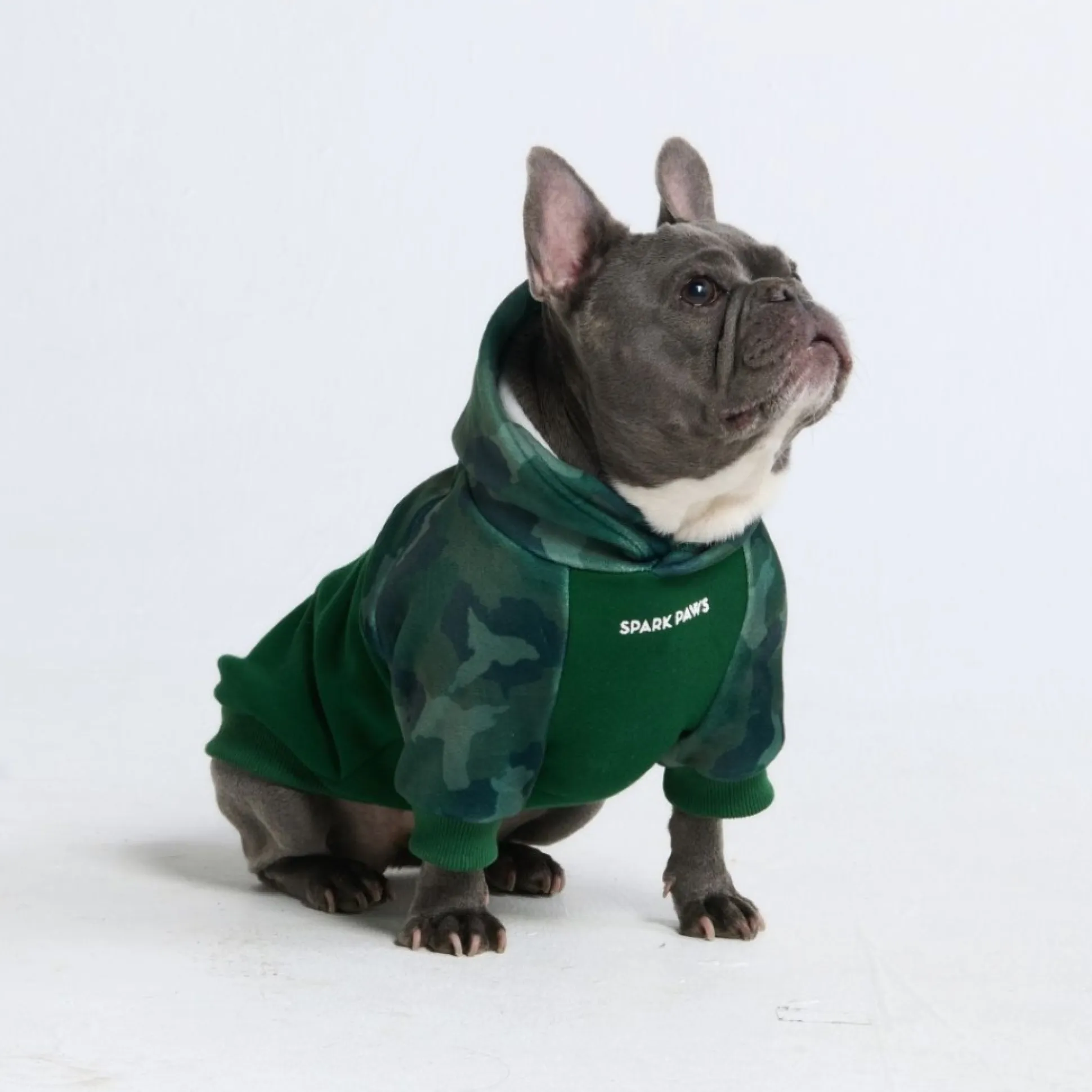 Forest Camo Dog Hoodie