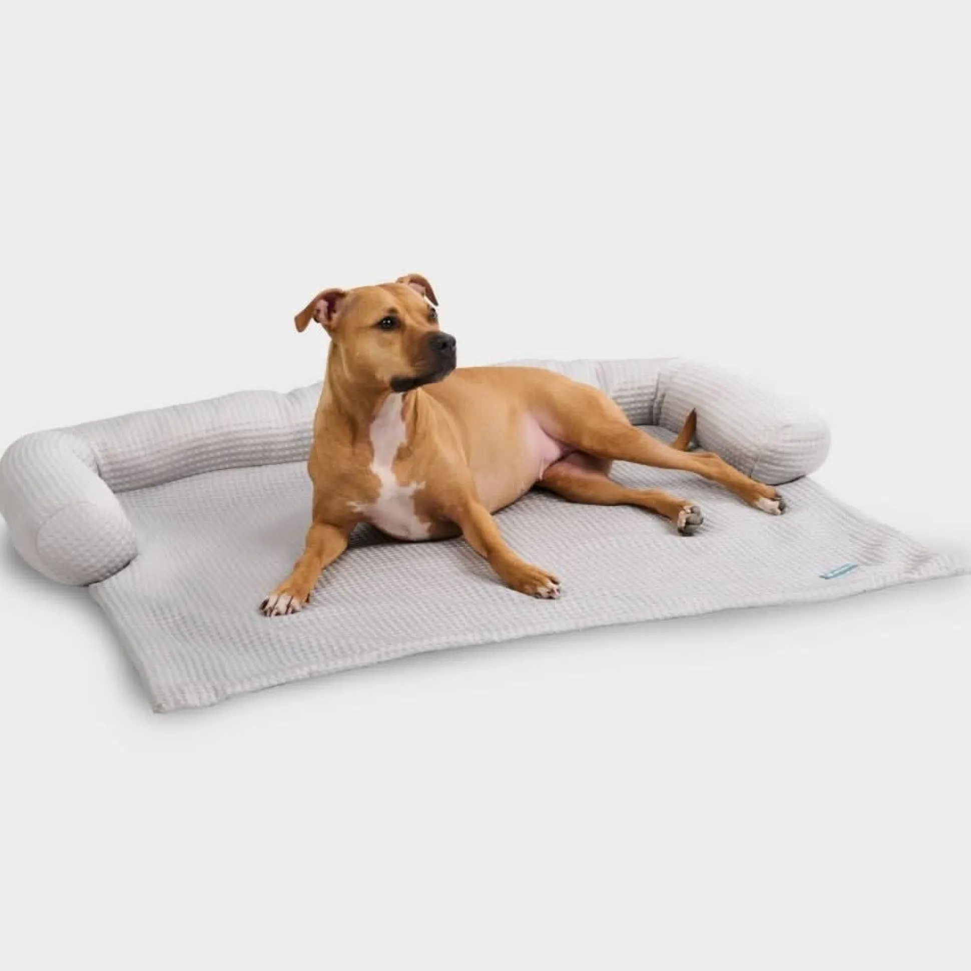 Frostcore™ Cooling Couch Cover Dog Bed
