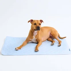 Frostcore™ Cooling Mat - Hearts Blue
