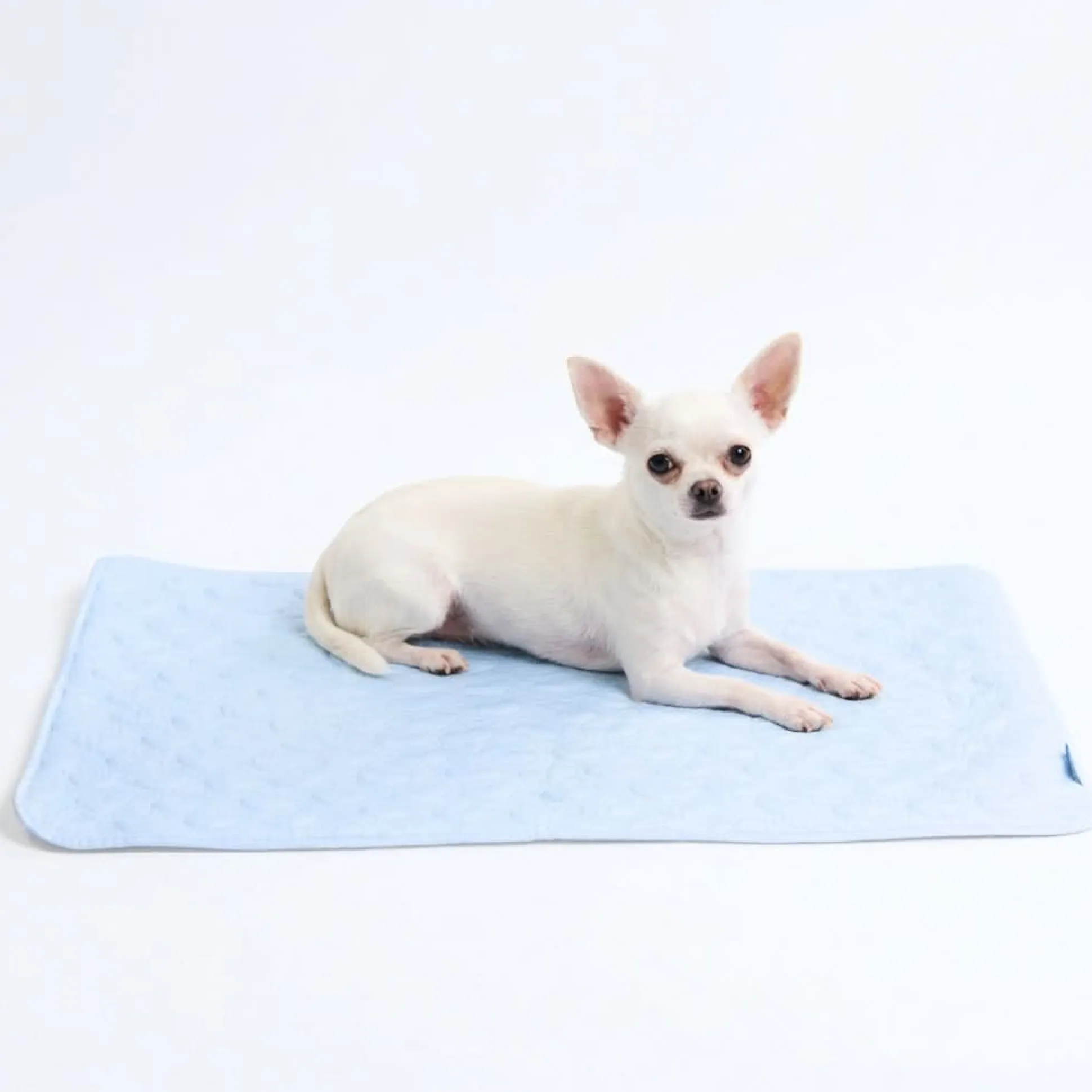 Frostcore™ Cooling Mat - Hearts Blue