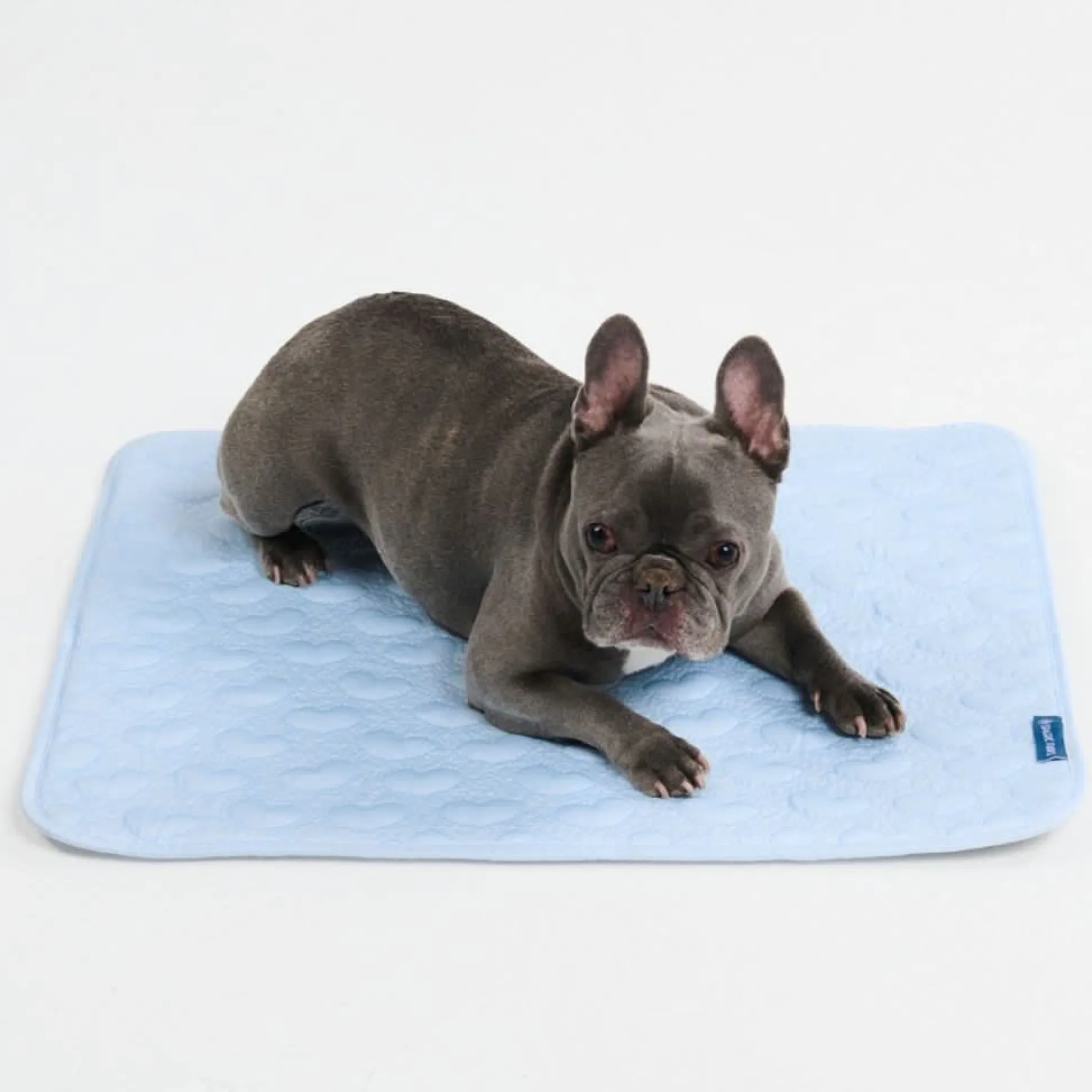 Frostcore™ Cooling Mat - Hearts Blue