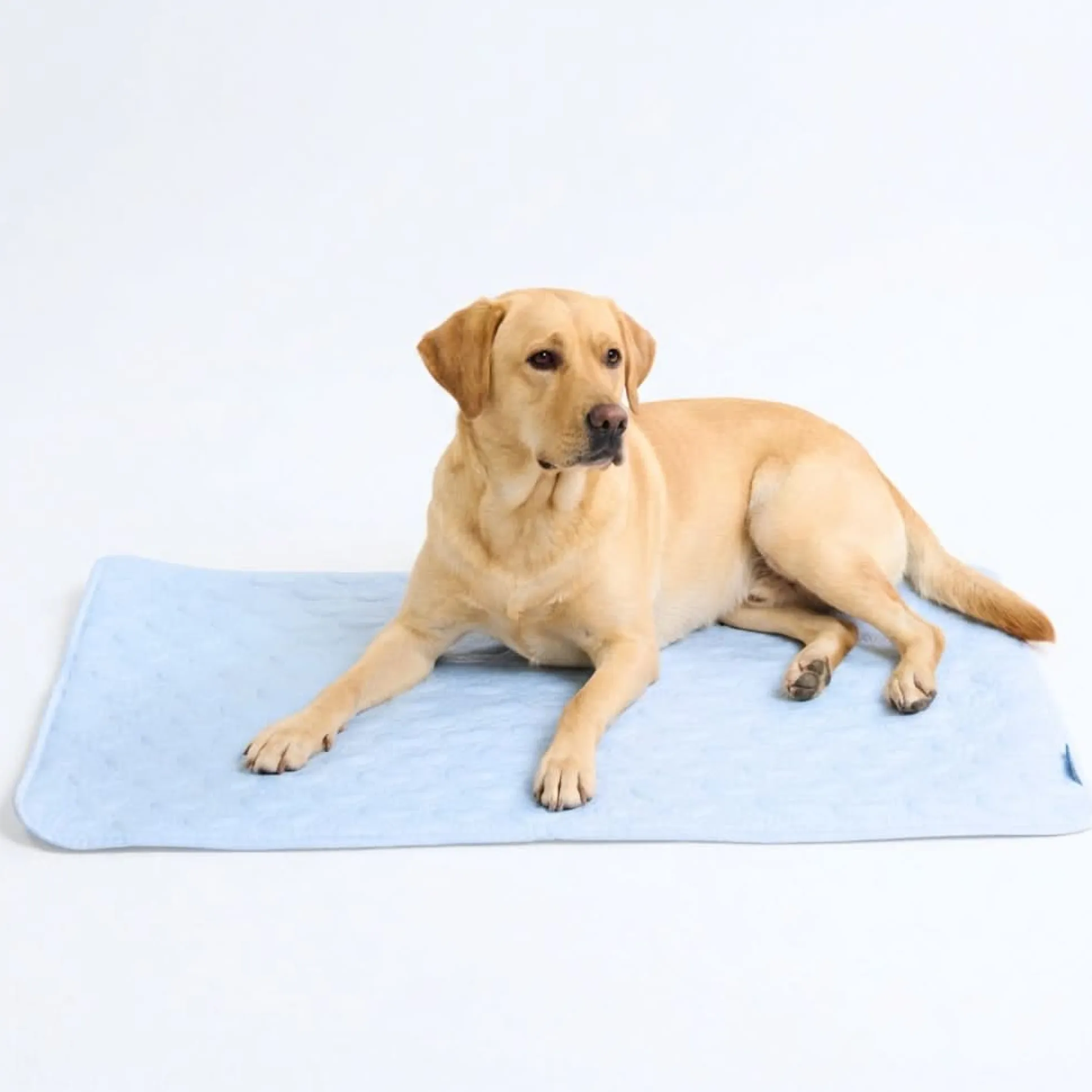 Frostcore™ Cooling Mat - Hearts Blue