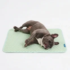 Frostcore™ Cooling Mat - Orb Green