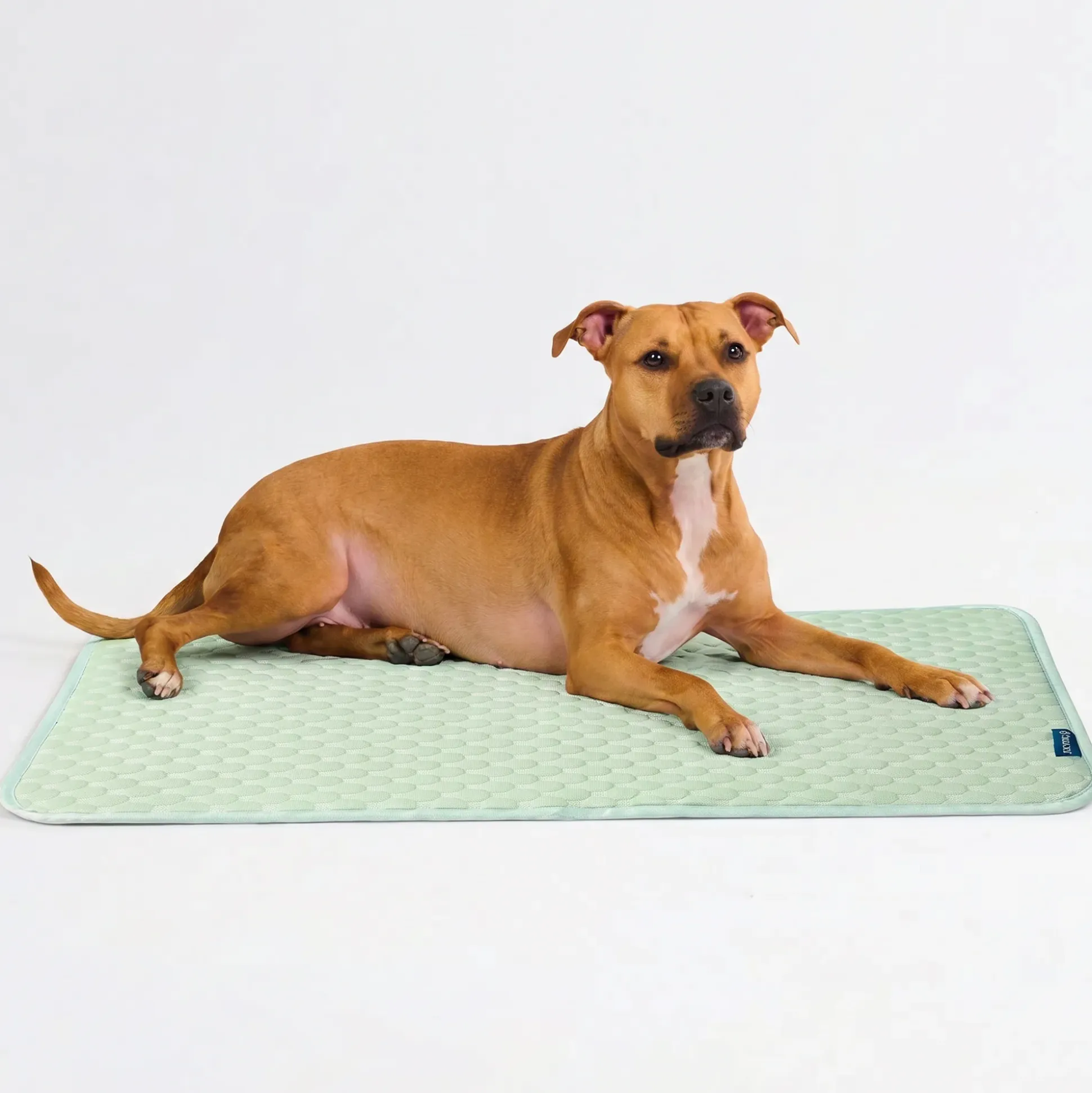 Frostcore™ Cooling Mat - Orb Green