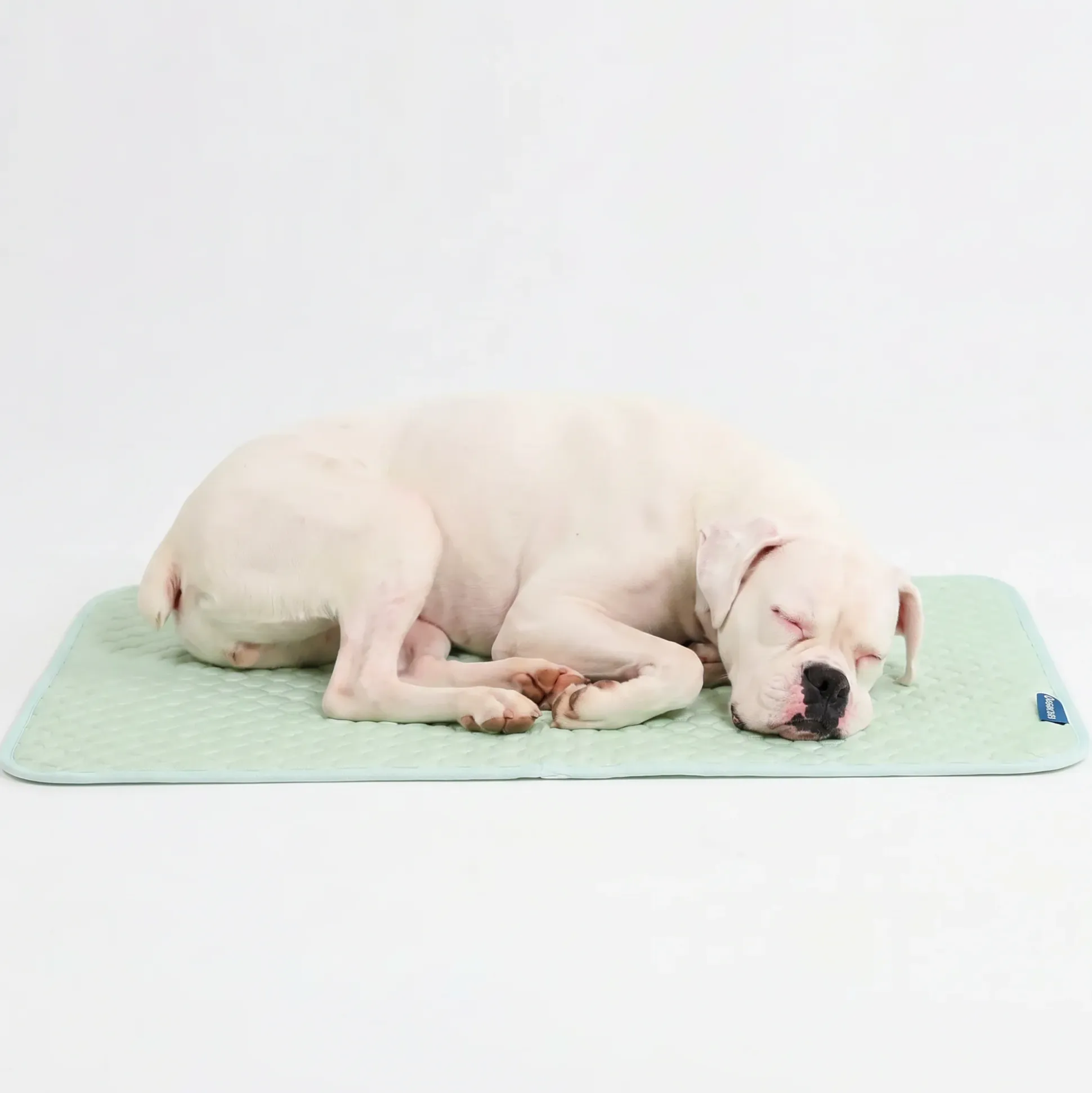 Frostcore™ Cooling Mat - Orb Green