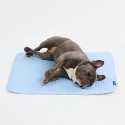 Frostcore™ Cooling Mat - Waffle Blue