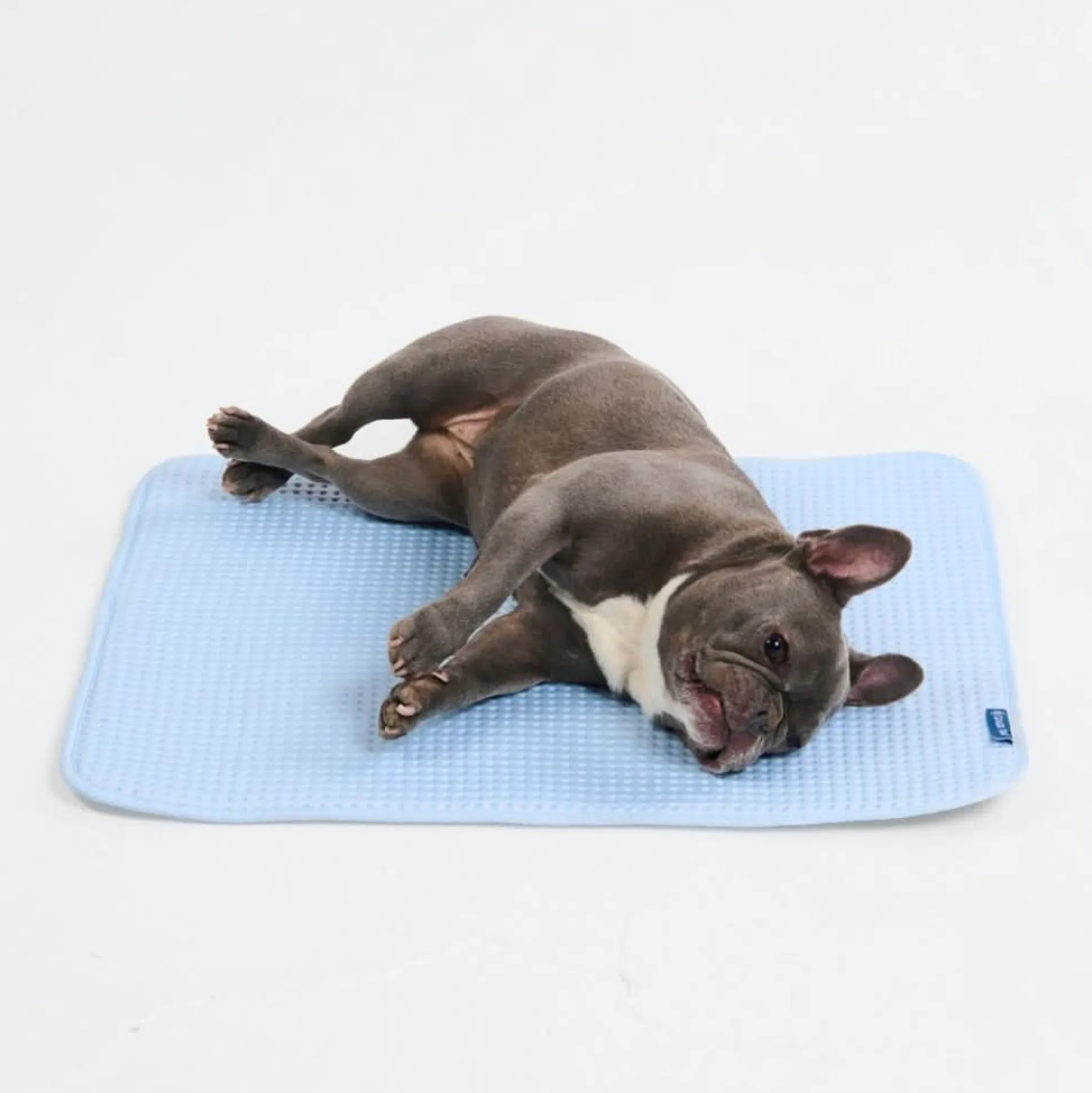 Frostcore™ Cooling Mat - Waffle Blue