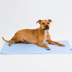Frostcore™ Cooling Mat - Waffle Blue
