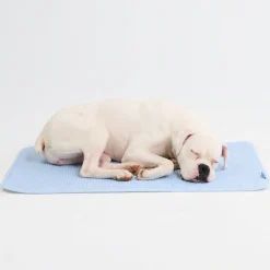 Frostcore™ Cooling Mat - Waffle Blue