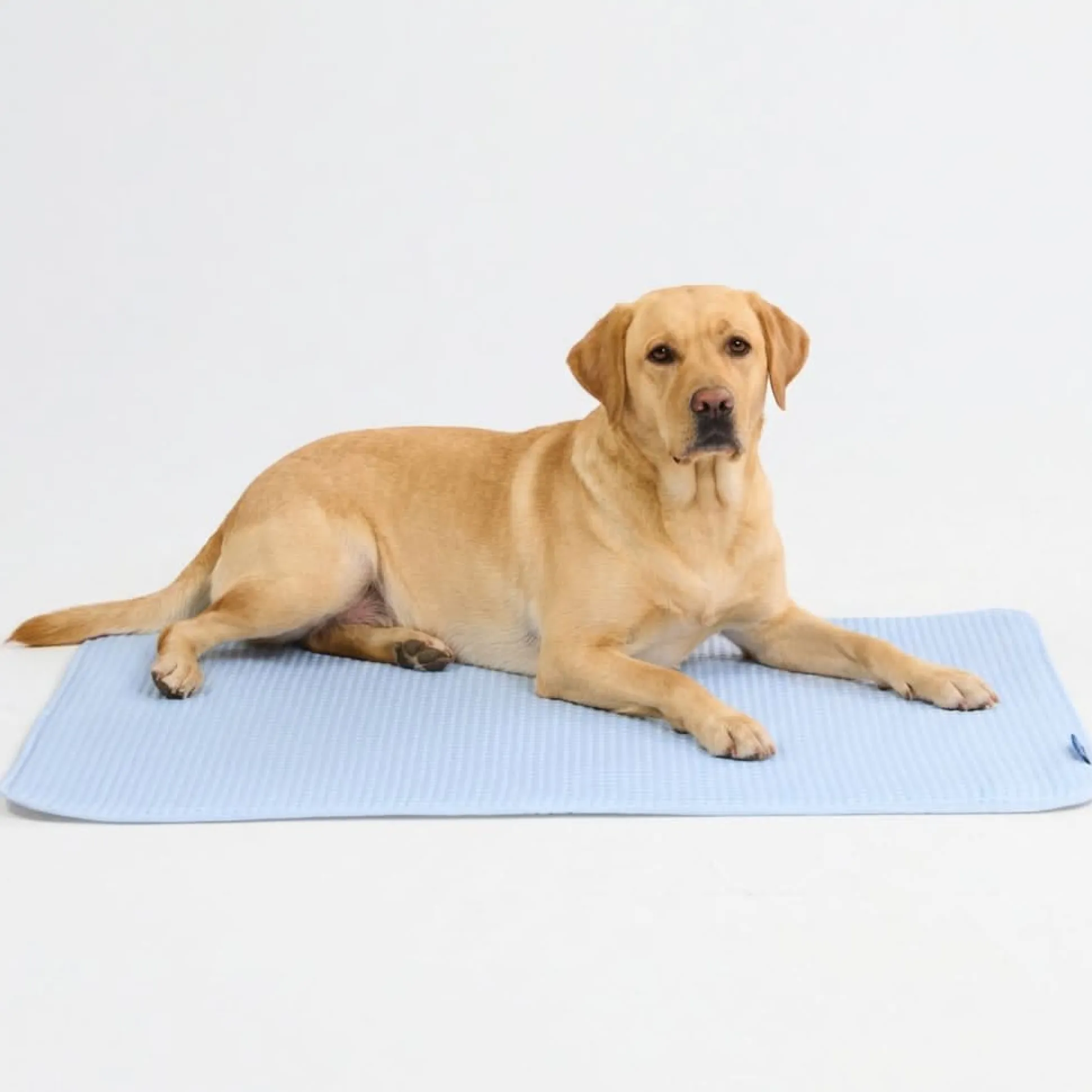 Frostcore™ Cooling Mat - Waffle Blue