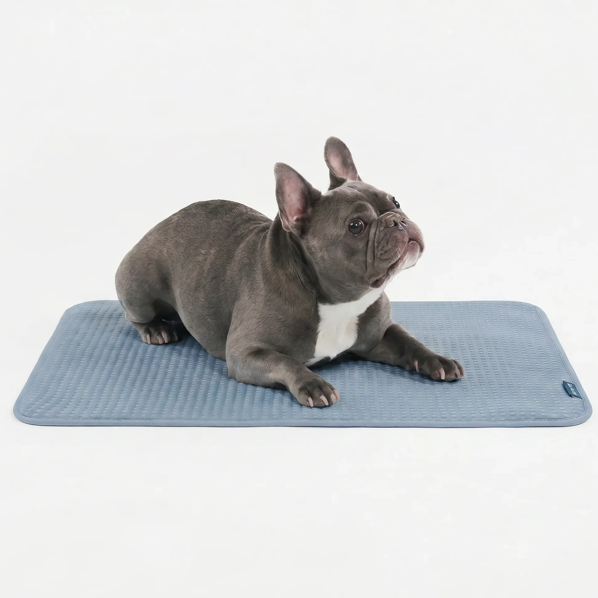 Frostcore™ Cooling Mat - Waffle Ash Blue