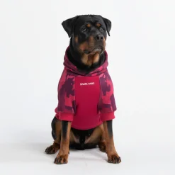Fuchsia Camo Dog Hoodie