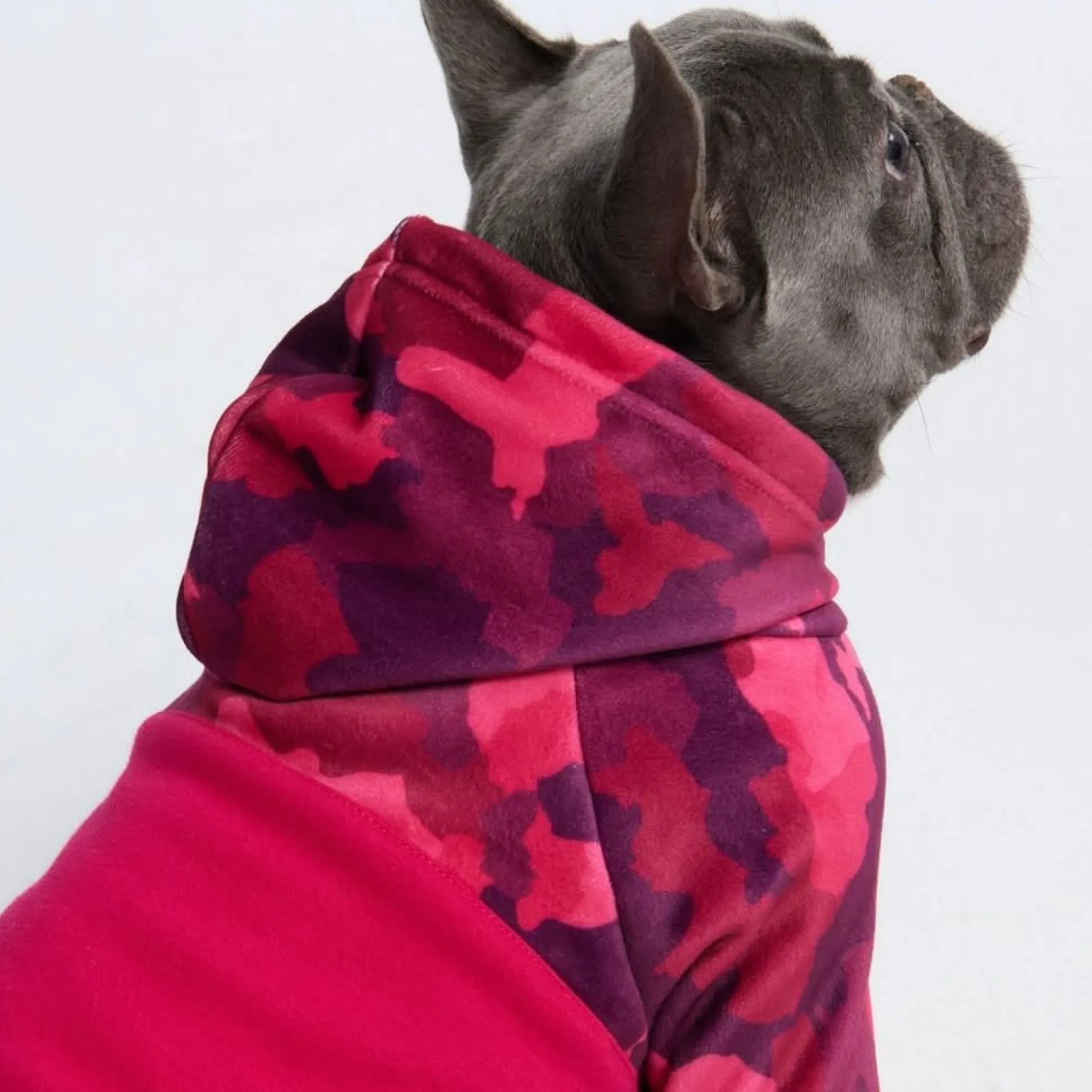 Fuchsia Camo Dog Hoodie