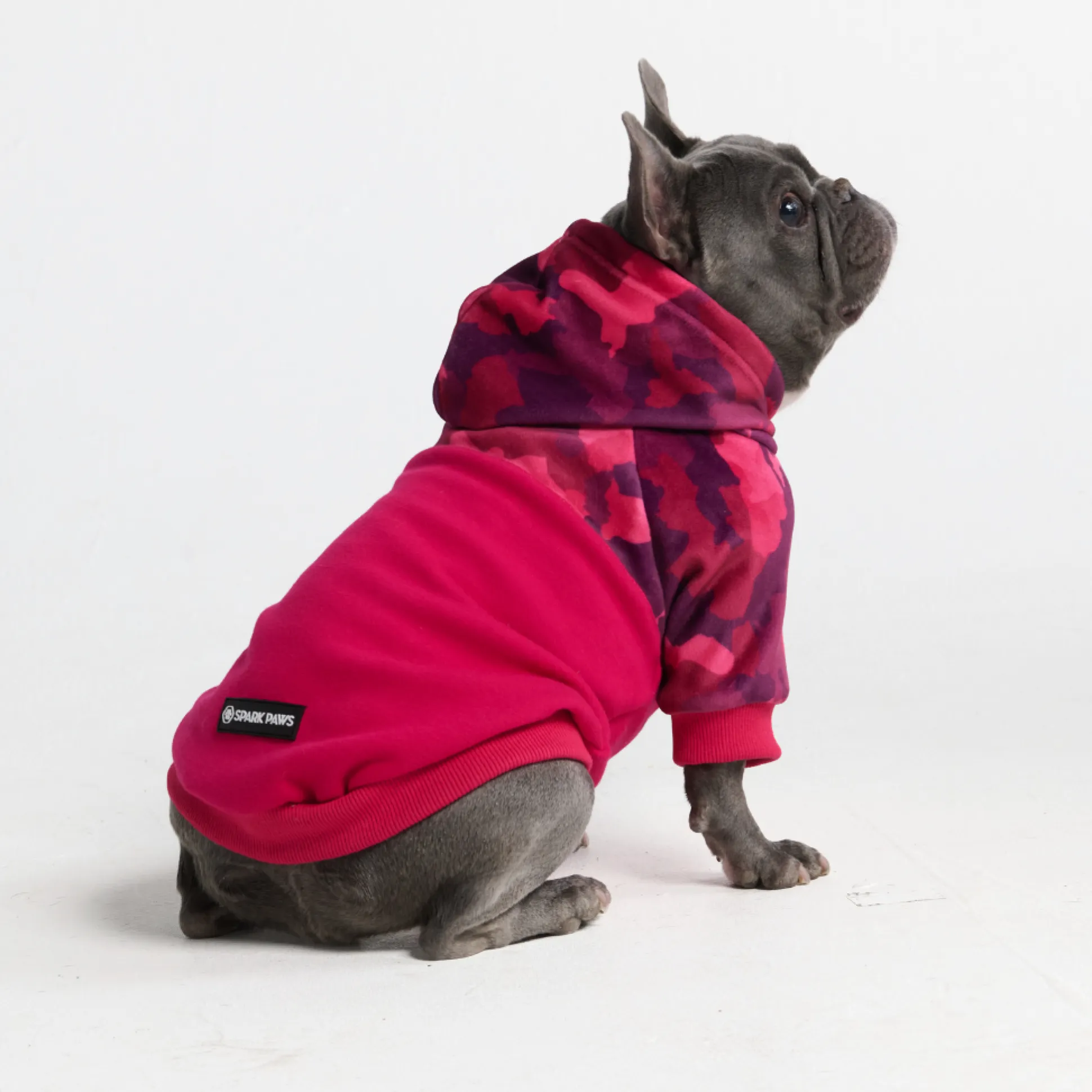 Fuchsia Camo Dog Hoodie