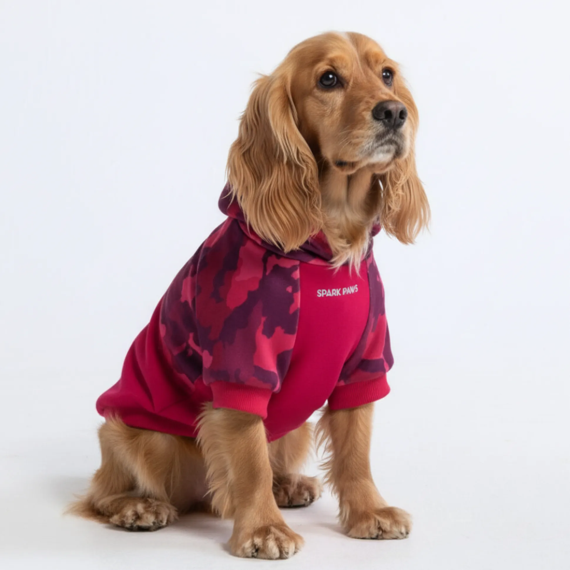 Fuchsia Camo Dog Hoodie