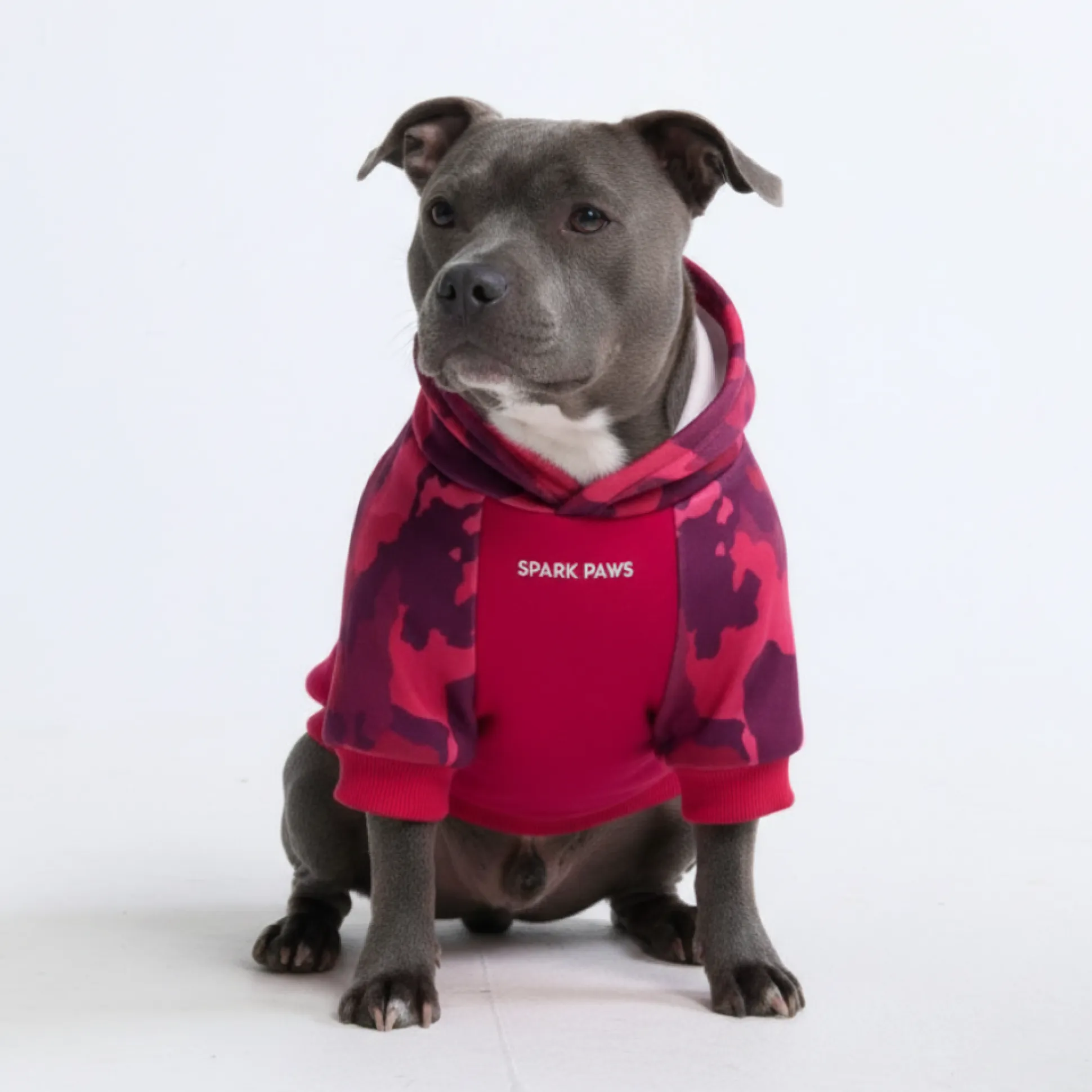 Fuchsia Camo Dog Hoodie