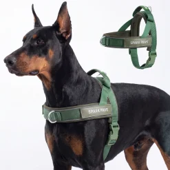 Grab & Go Harness - Army Green