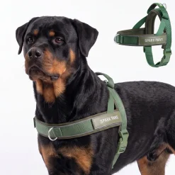 Grab & Go Harness - Army Green