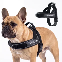 Grab & Go Harness - Black