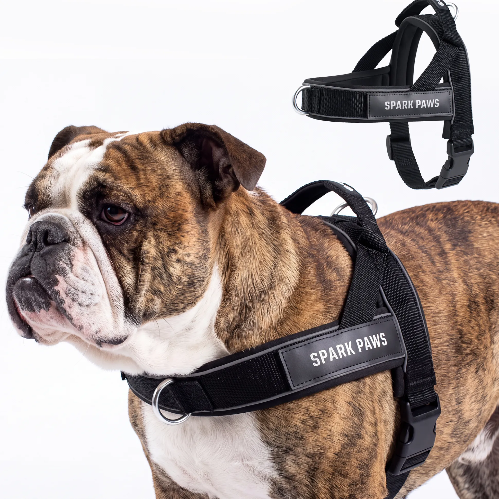 Grab & Go Harness - Black