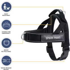Grab & Go Harness - Black