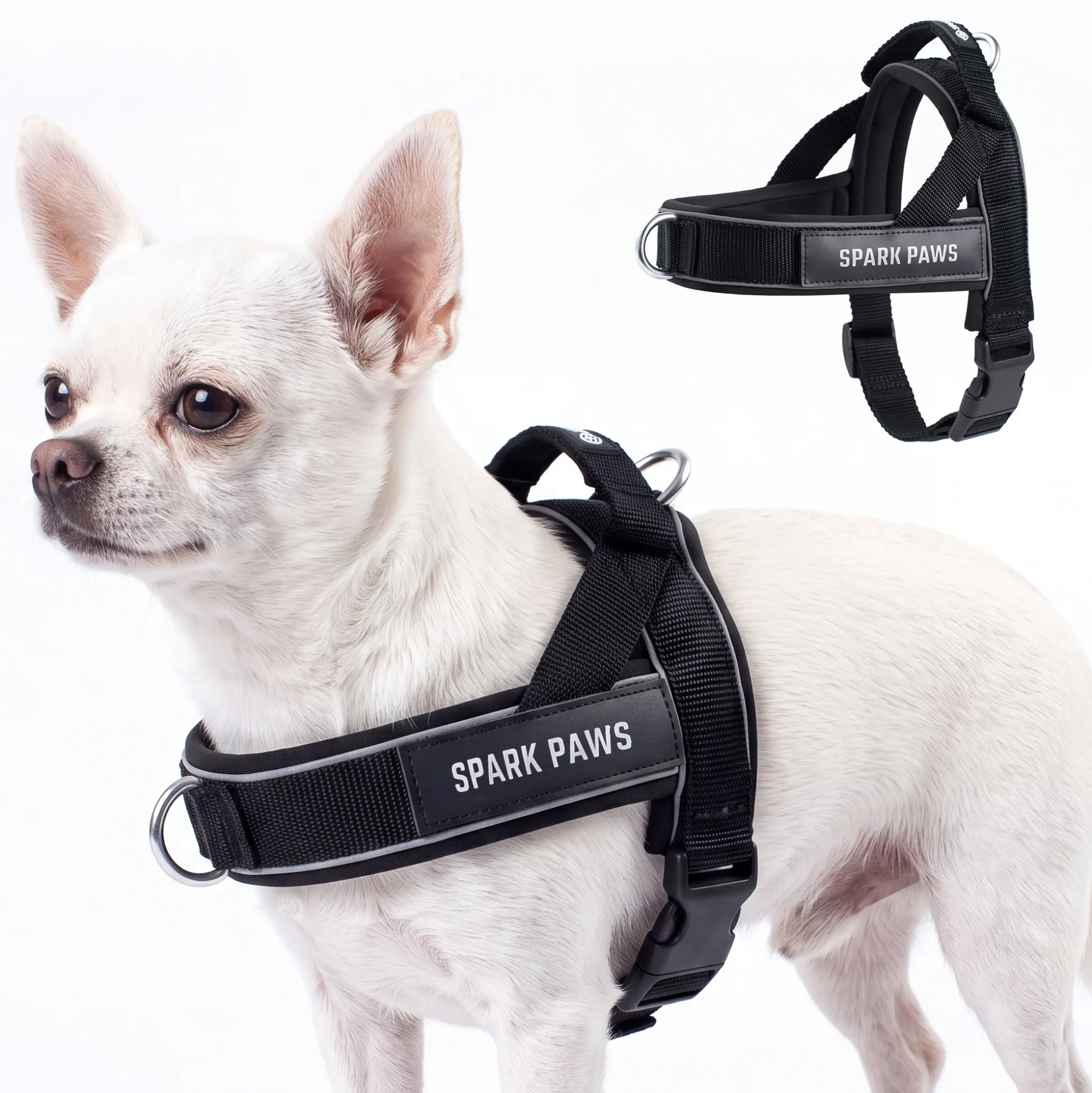 Grab & Go Harness - Black