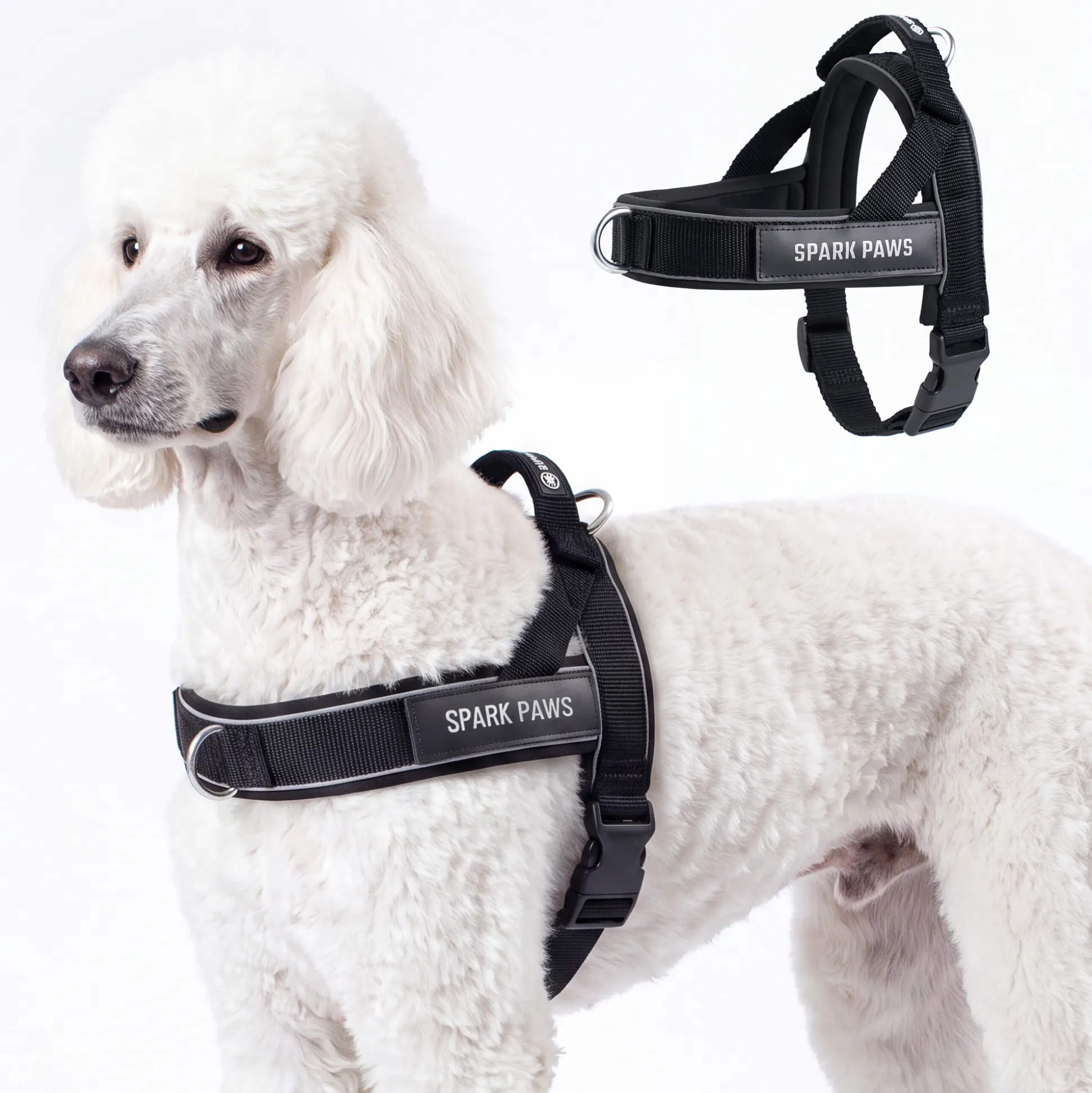 Grab & Go Harness - Black