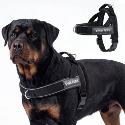 Grab & Go Harness - Black