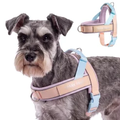 Grab & Go Harness - Cotton Candy