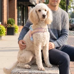 Grab & Go Harness - Cotton Candy