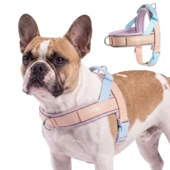 Grab & Go Harness - Cotton Candy