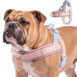 Grab & Go Harness - Cotton Candy