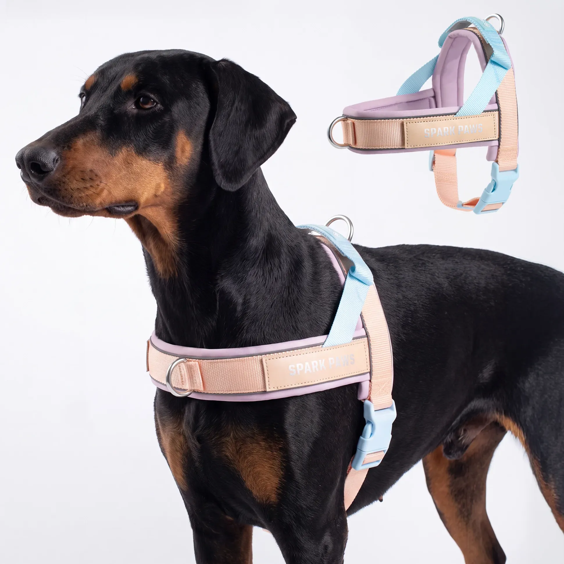 Grab & Go Harness - Cotton Candy