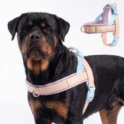 Grab & Go Harness - Cotton Candy