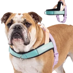 Grab & Go Harness - Cyber Punk