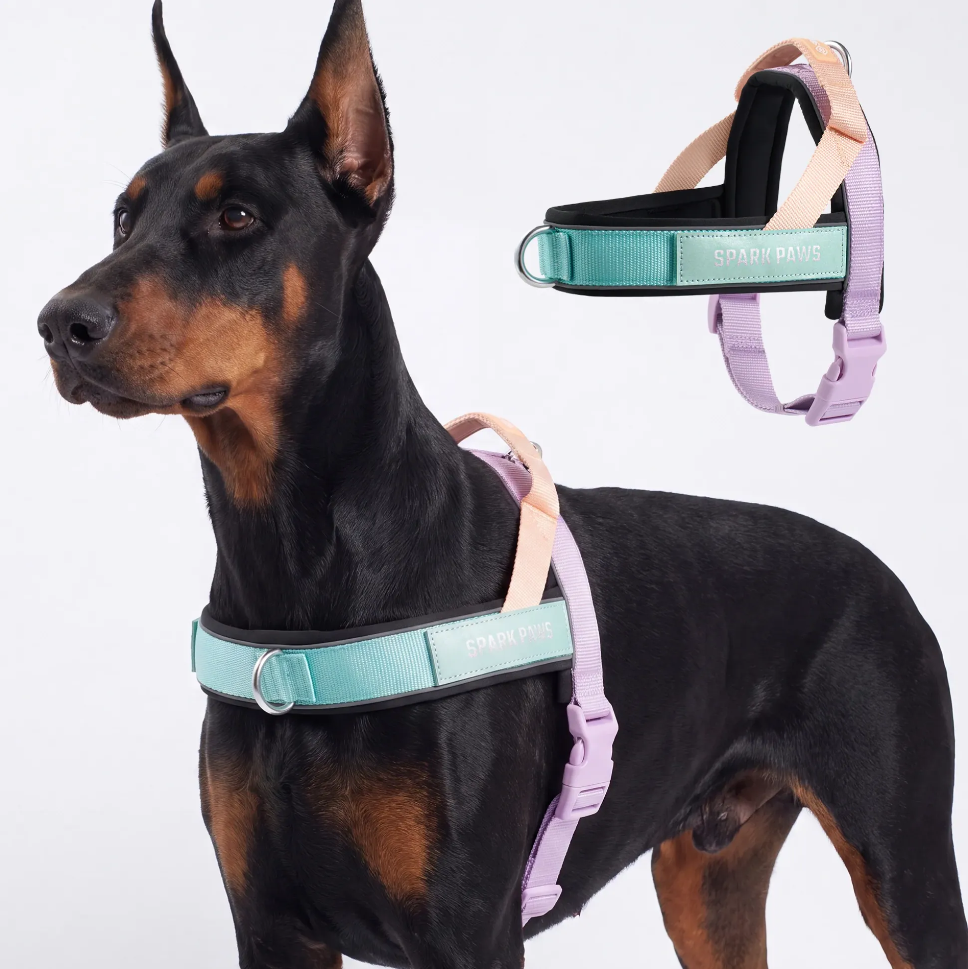 Grab & Go Harness - Cyber Punk